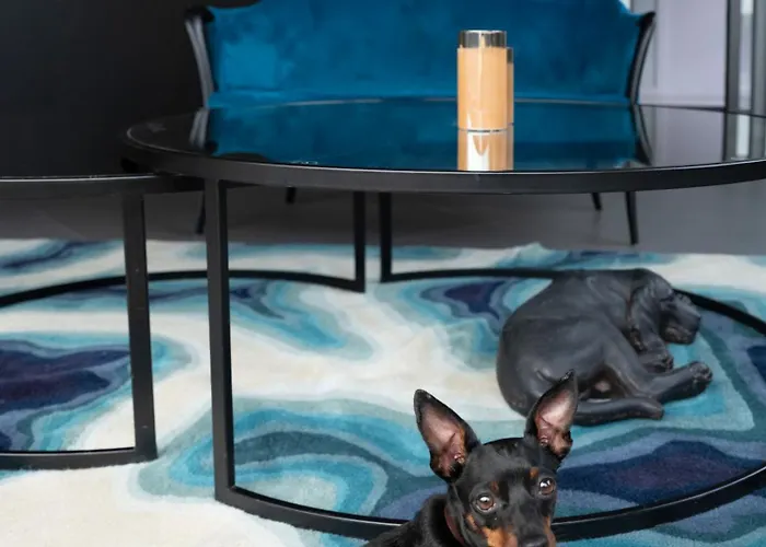 Elizabeth Lifestyle Bologna