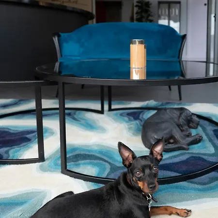 Elizabeth Lifestyle Bolonia